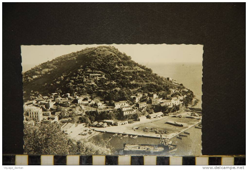 CP ALGERIE   COLLO  LA PRESQU'ILE ET LE PORT