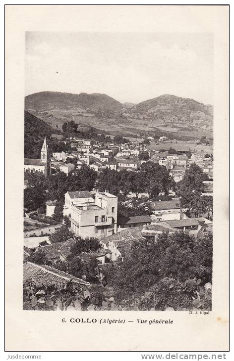 COLLO - 6 - VUE GENERALE