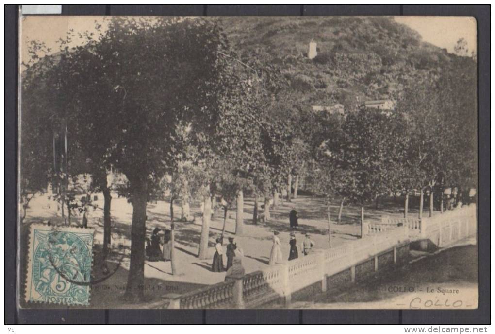 20 - 2A -  Collo - Le Square