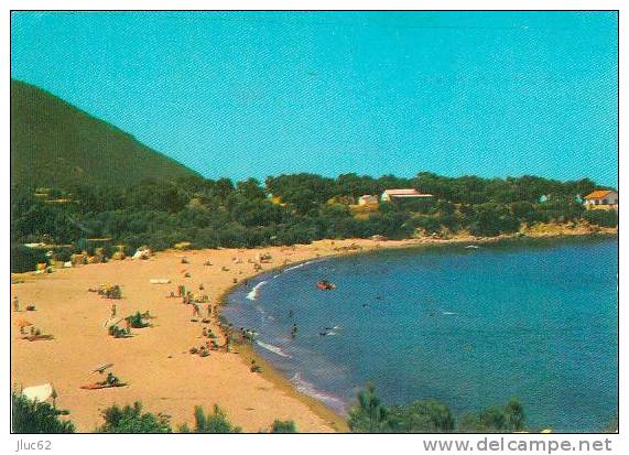 CP.  COLLO.   LA   PLAGE  DE  TAMANAR