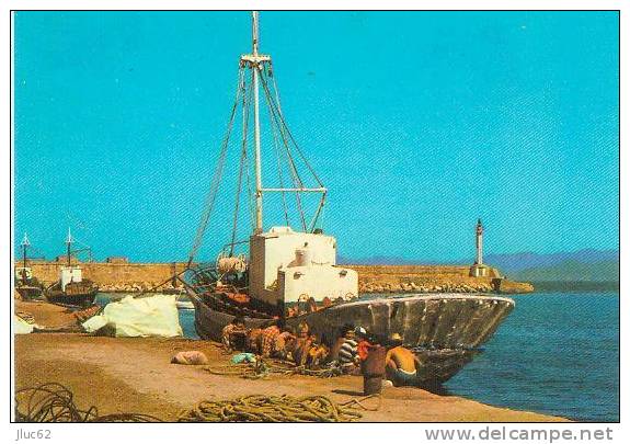 CP.  COLLO.  LE  PORT.