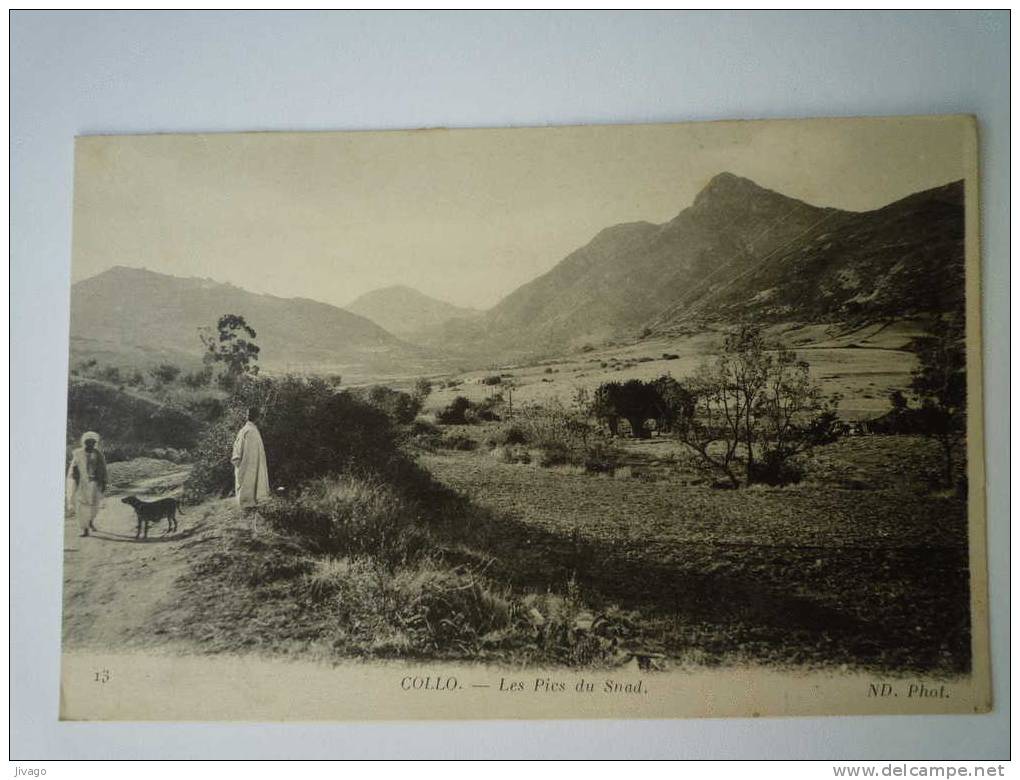 ALGERIE    COLLO  -  Les PICS  du  SNAD