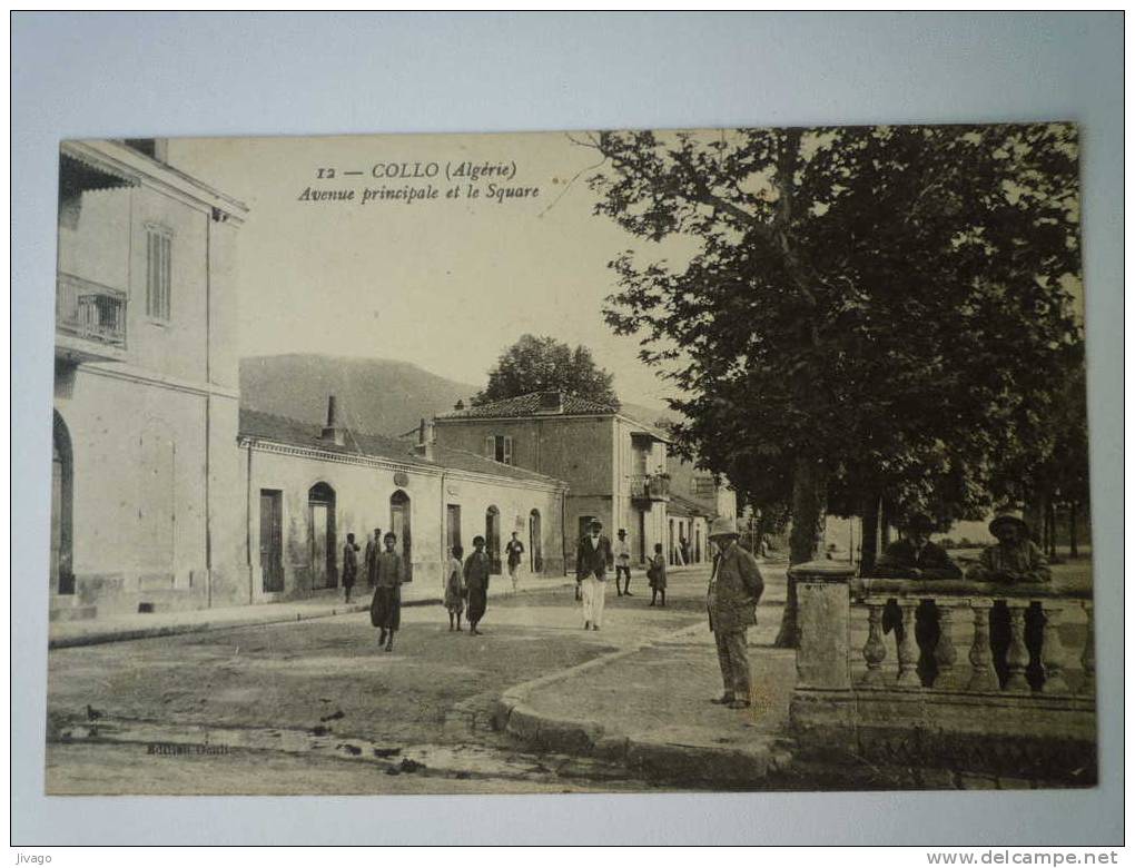 ALGERIE    COLLO  -  Avenue principale et le Square  -  Carte animée