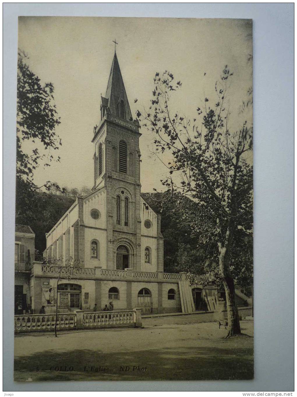 ALGERIE    COLLO  -  L'Eglise