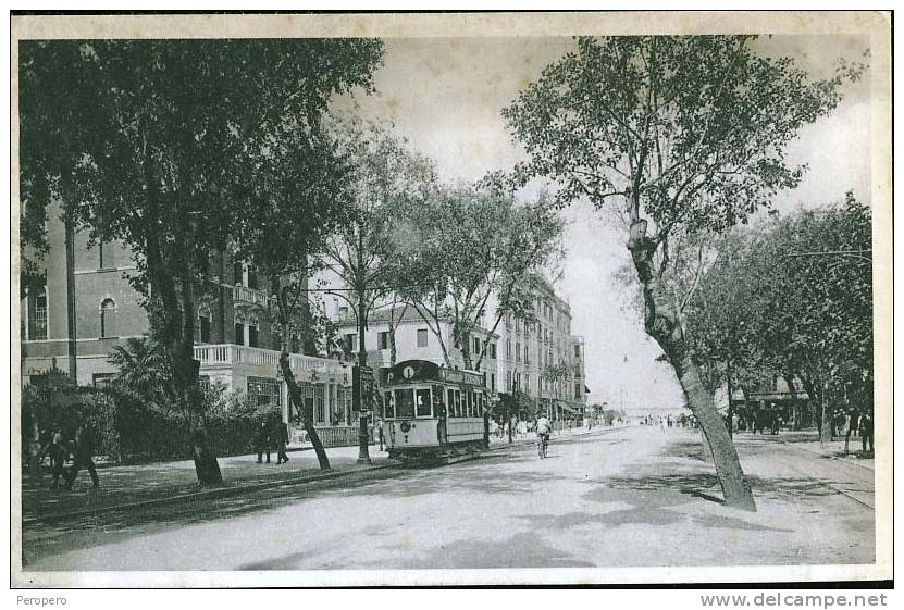 VENETO VENEZIA VIALE  S.MARIA ELISABETTA CALIBRATORE PER ALLINEAMENTO CARTOLINA COLLO