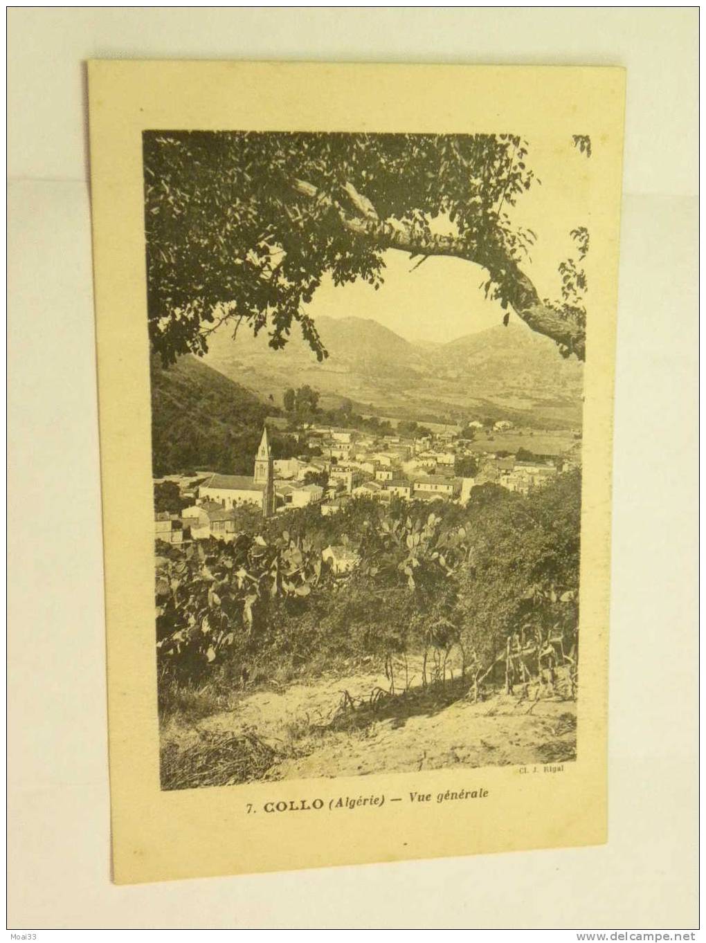 Carte Postale  Ancienne  COLLO  Vue générale