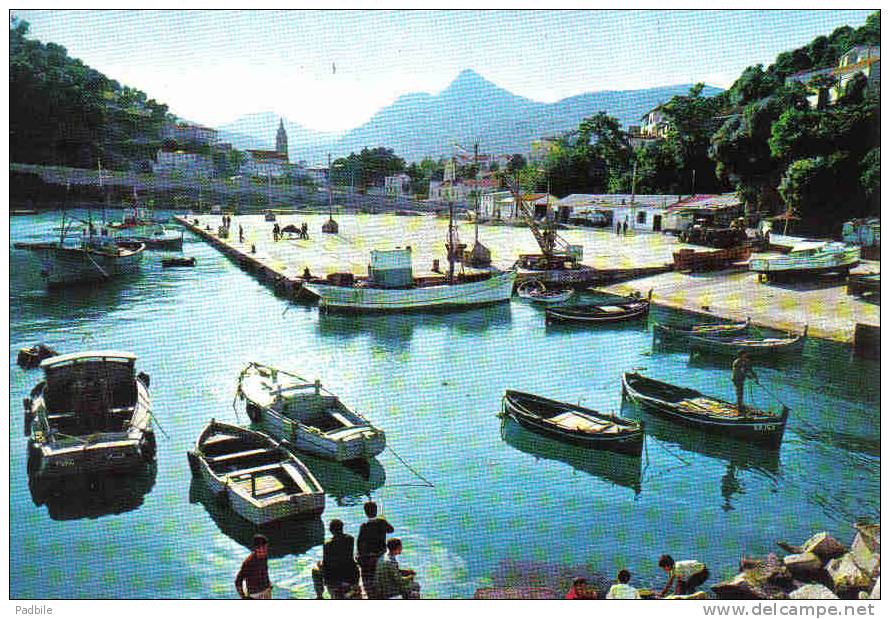 Carte postale Afrique  Algérie  Collo  le port trés beau plan