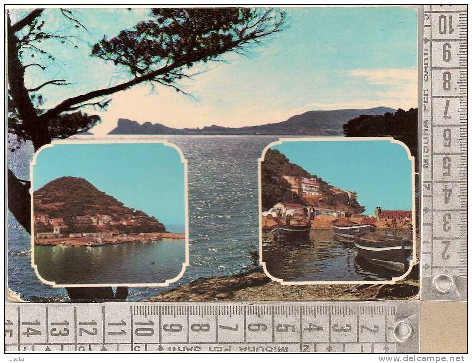 COLLO (ALGERIA) - viaggiata - vedi