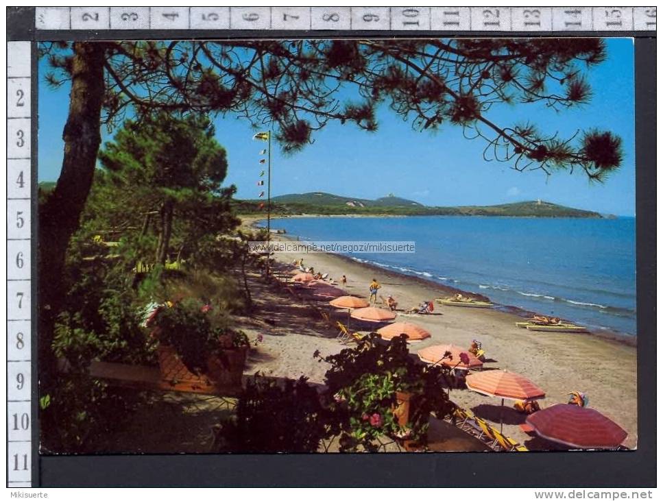 M7049 PUNTA ALA (GROSSETO) LA SPIAGGIA OMBRELLONI COLLO COMM. ARTE NORMANNA SICILIA Viaggiata F/G Cartolina-Postcard