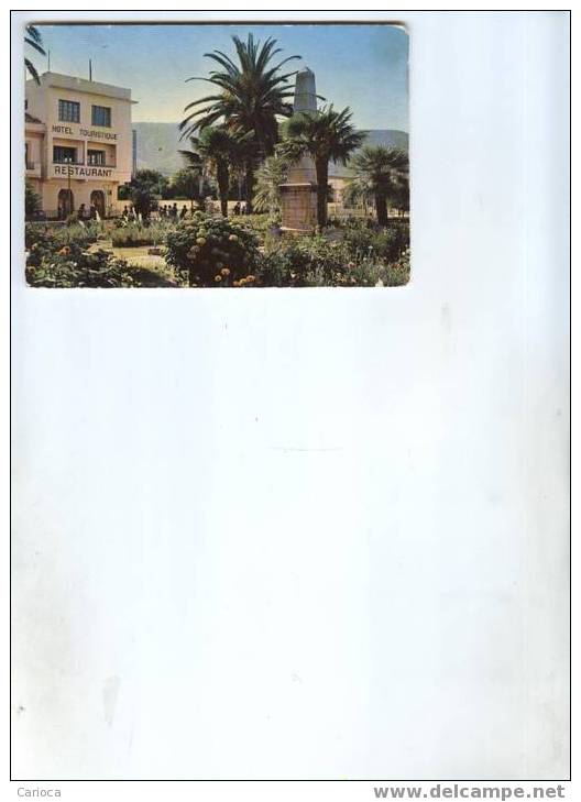 CP MODERNE ALGERIE COLLO LES JARDINS