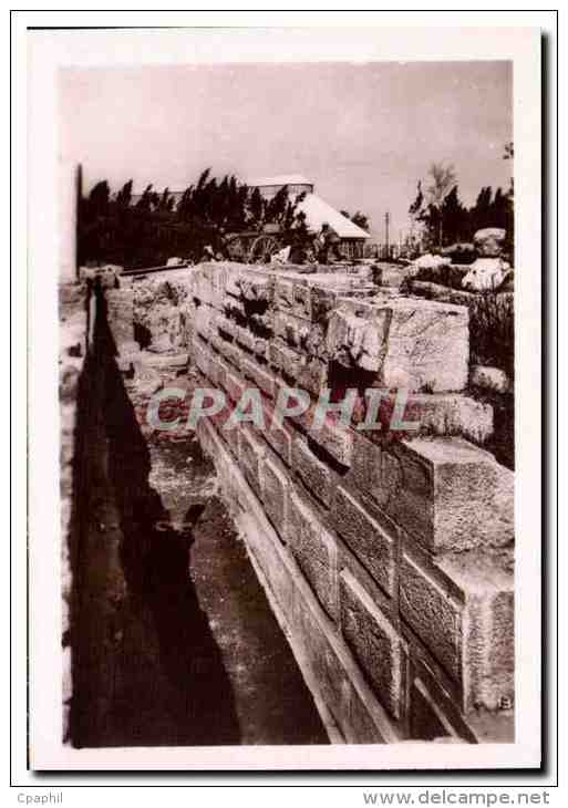 CPM Ruines d'Hippone Algerie