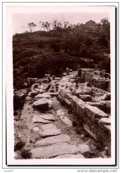 CPM Ruines d'Hippone Algerie