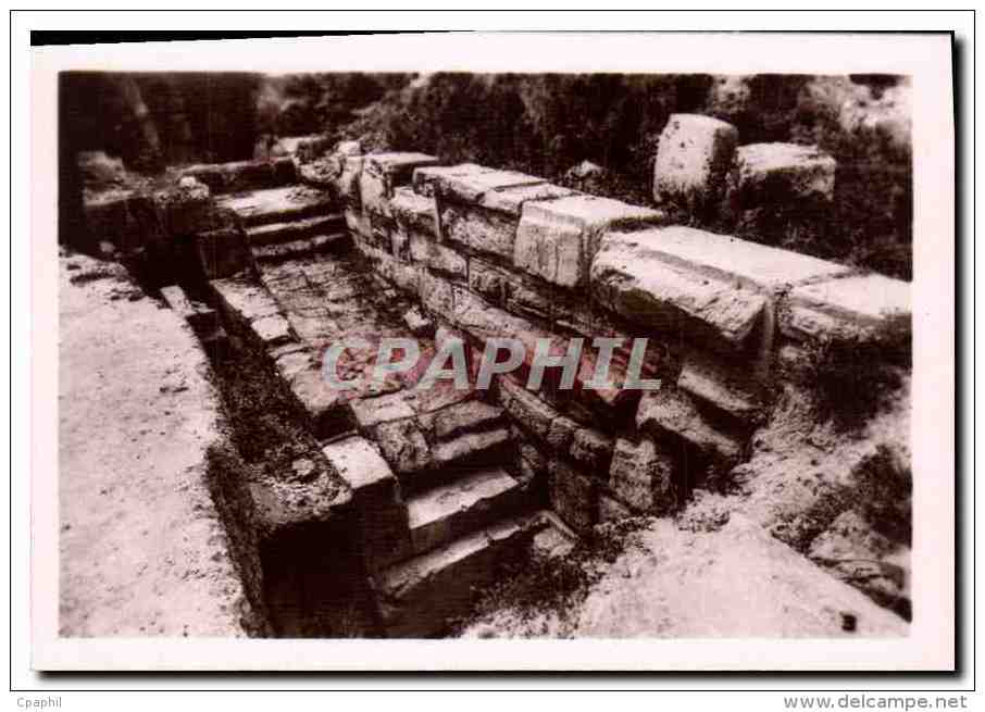 CPM Ruines d'Hippone Algerie