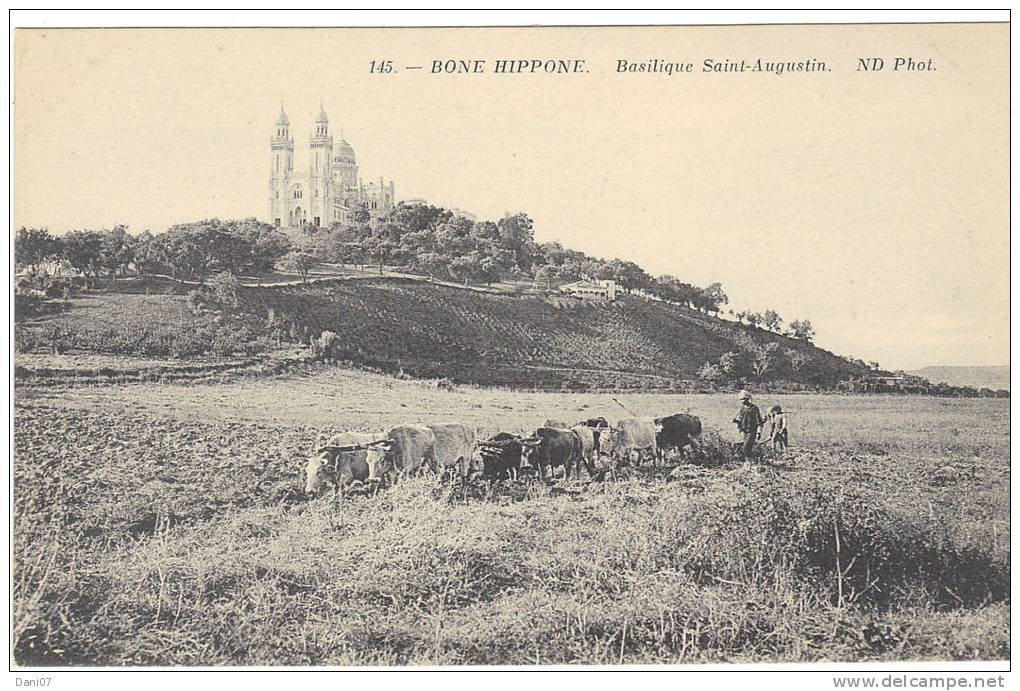 carte postale Bone Hippone basilique Saint Augustin