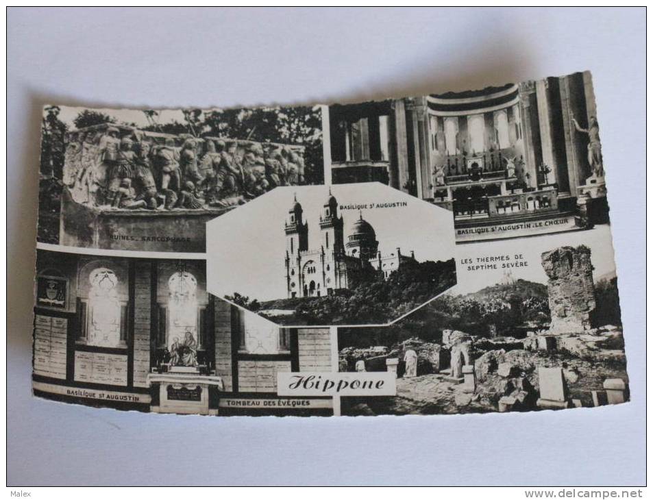 HIPPONE - Multivue - souvenir