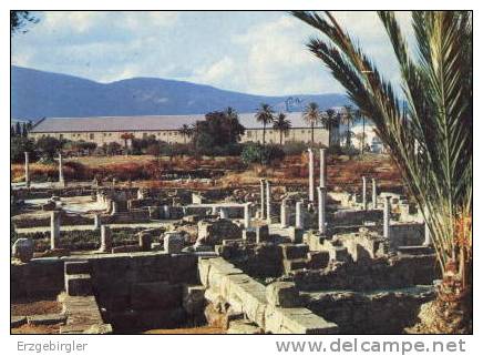Tlempcen , les ruines d ` Hippone