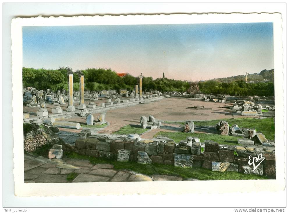 BÔNE - Ruines Romaines d'Hippone