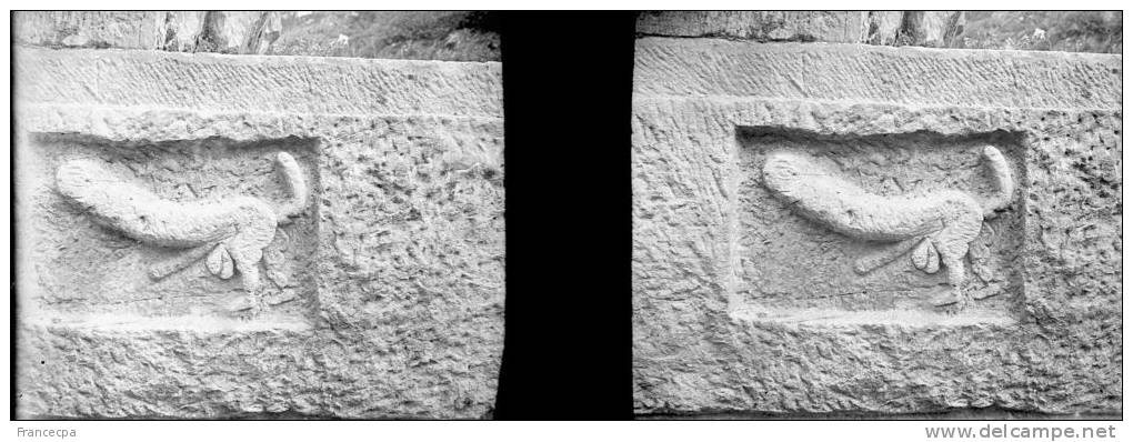 Plaque Photo Stéréo - PN 0114 - ALGERIE - BÔNE - Triphallus d´ HIPPONE