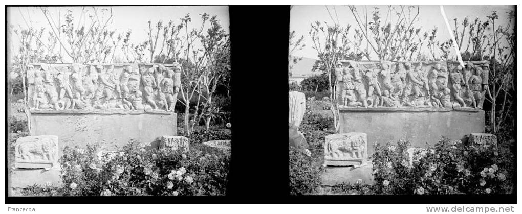 Plaque Photo Stéréo - PN 0111 - ALGERIE - BÔNE - HIPPONE - Sarcopage