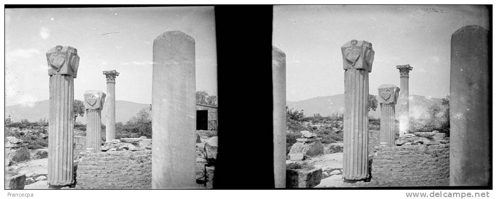 Plaque Photo Stéréo - PN 0109 - ALGERIE - BÔNE - HIPPONE - Colonnes à feuilles de Lotus