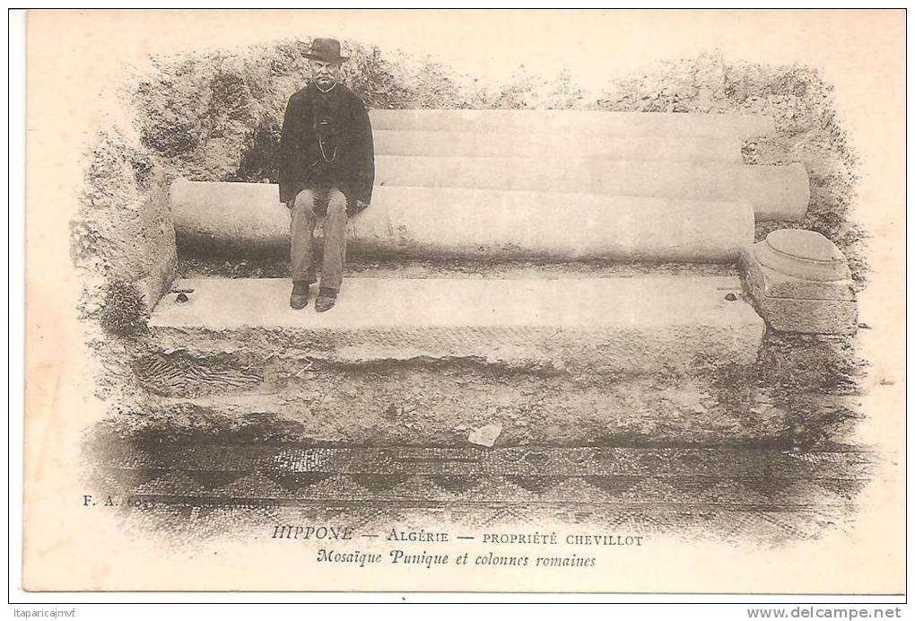 algérie   HIPPONE    propriété  Chevillot , mosaïque  punique
