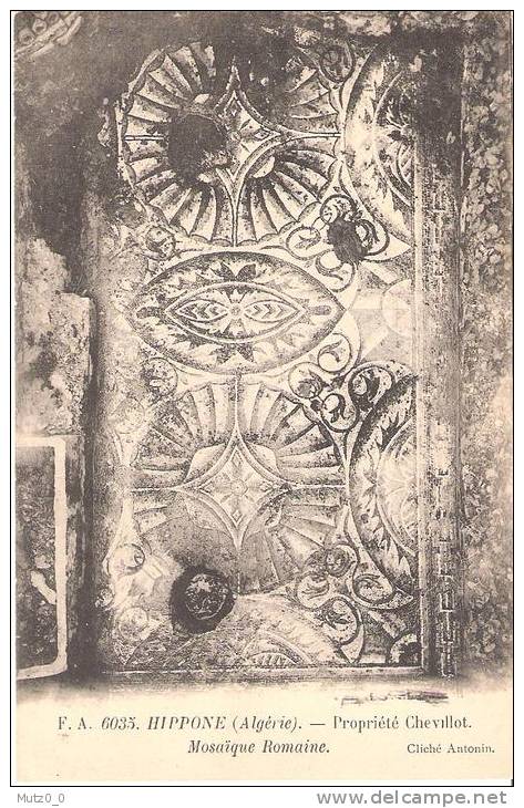 AK 376  Hippone , Propriété Chevillot / Mosaique Romaine um 1910-20