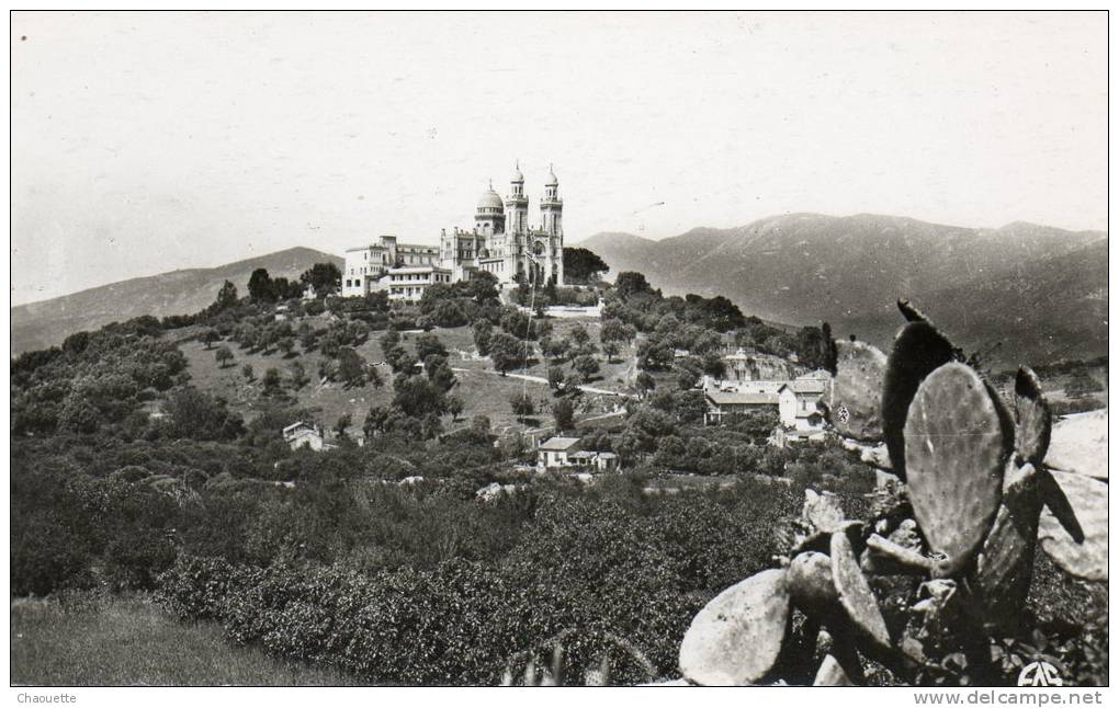 bone...hippone..basilique   st augustin