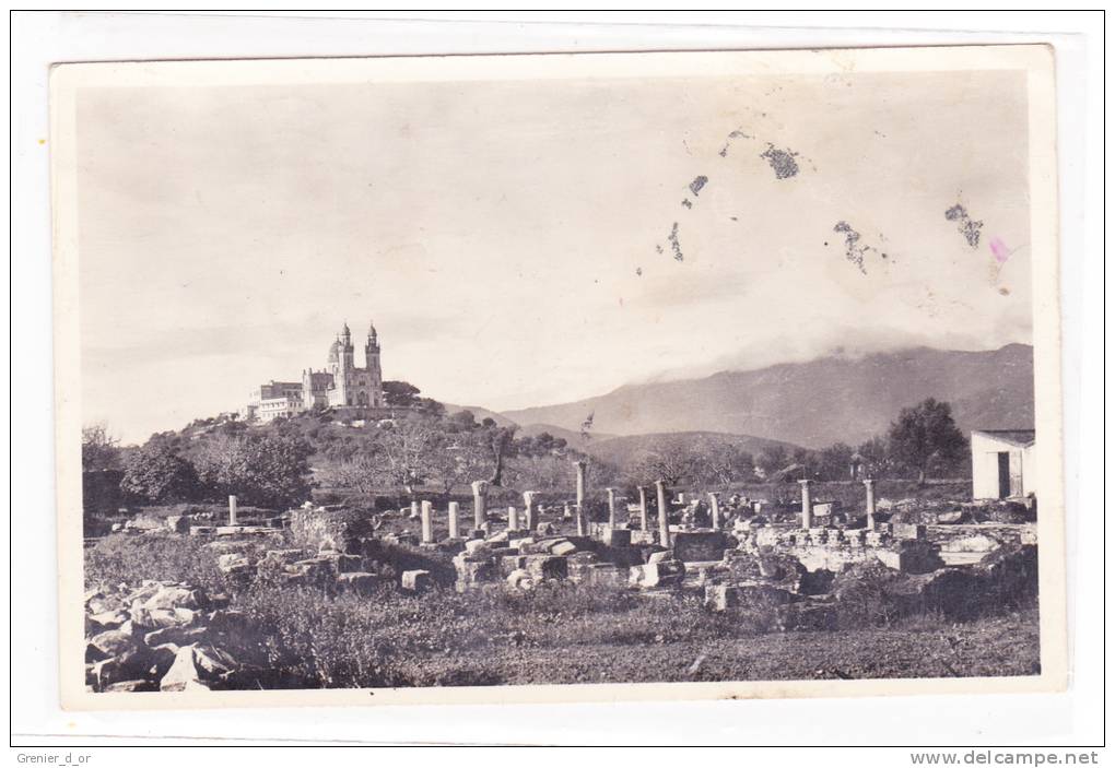 Bone Ruines d'Hippone Les Colonnades