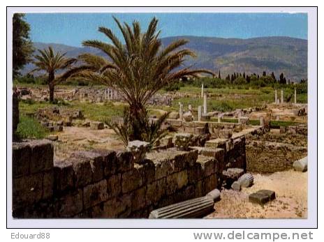 ANNABA  RUINES D'HIPPONE