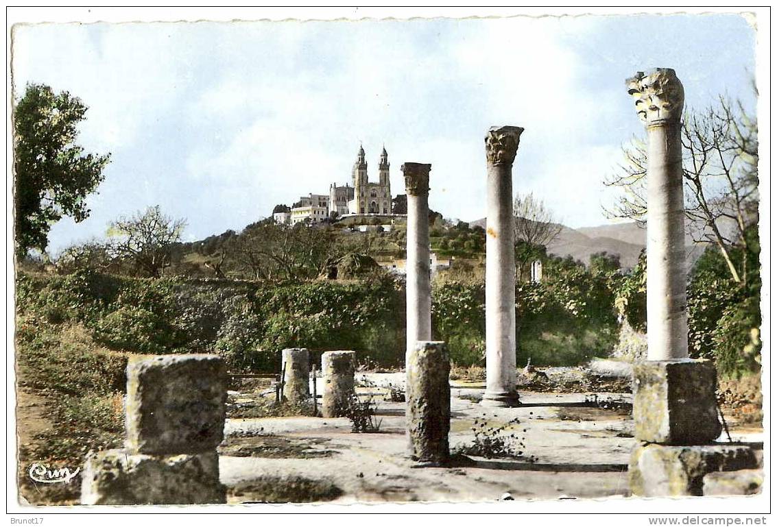 bône - ruines d'hippone