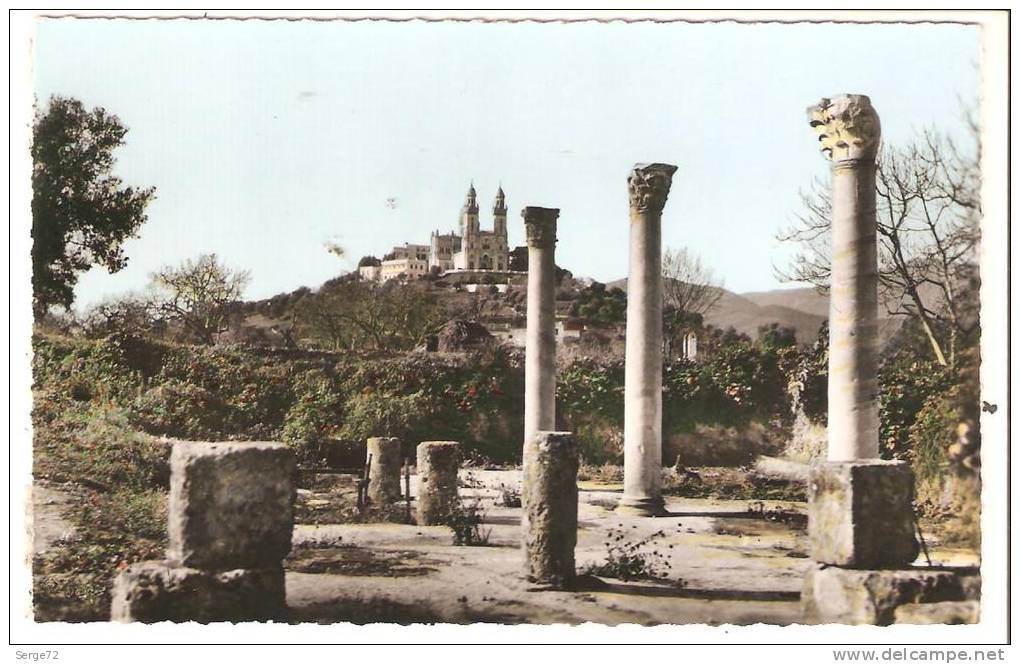 belle cpsm  BONE (Bone) N°4. Ruines d'Hippone