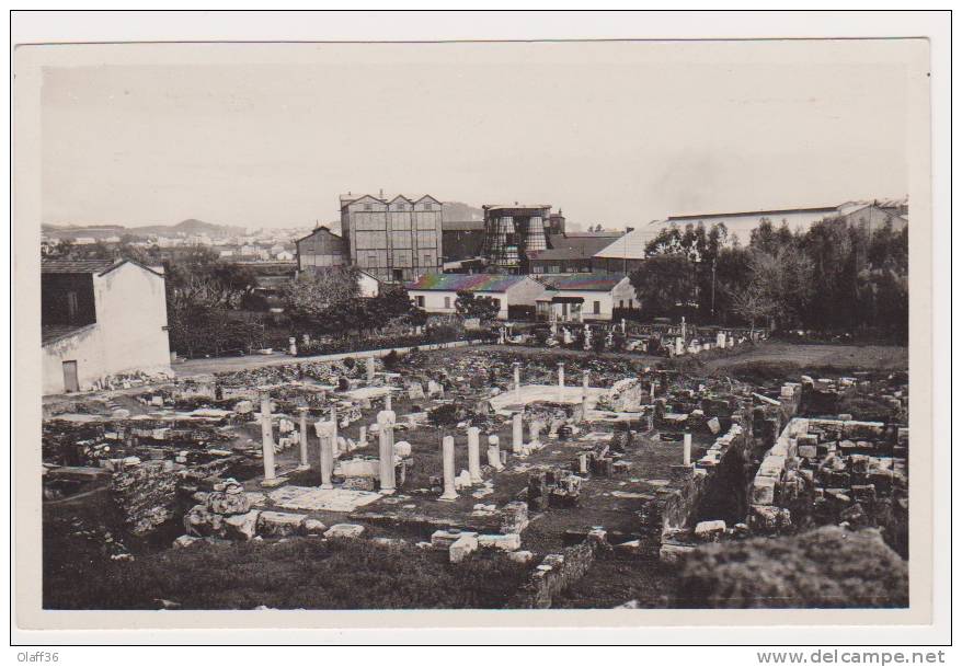 CARTE PHOTO   ALGERIE  BONE  Ruines d'Hippone  Vue GénéraleN°981