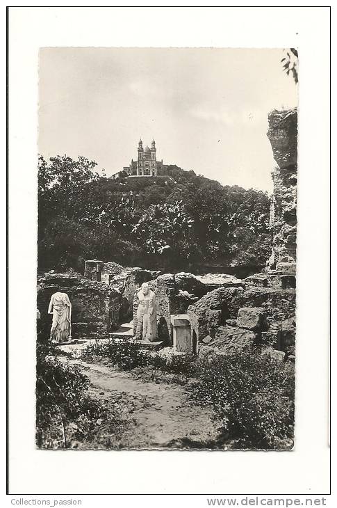 cp, Algérie, Bone, Les Ruines et la Cathédrale d'Hippone