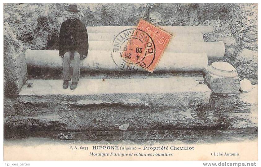 Algérie - Hippone - Propriété Chevillot, Mosaïques Puniques et Colonnes Romaines