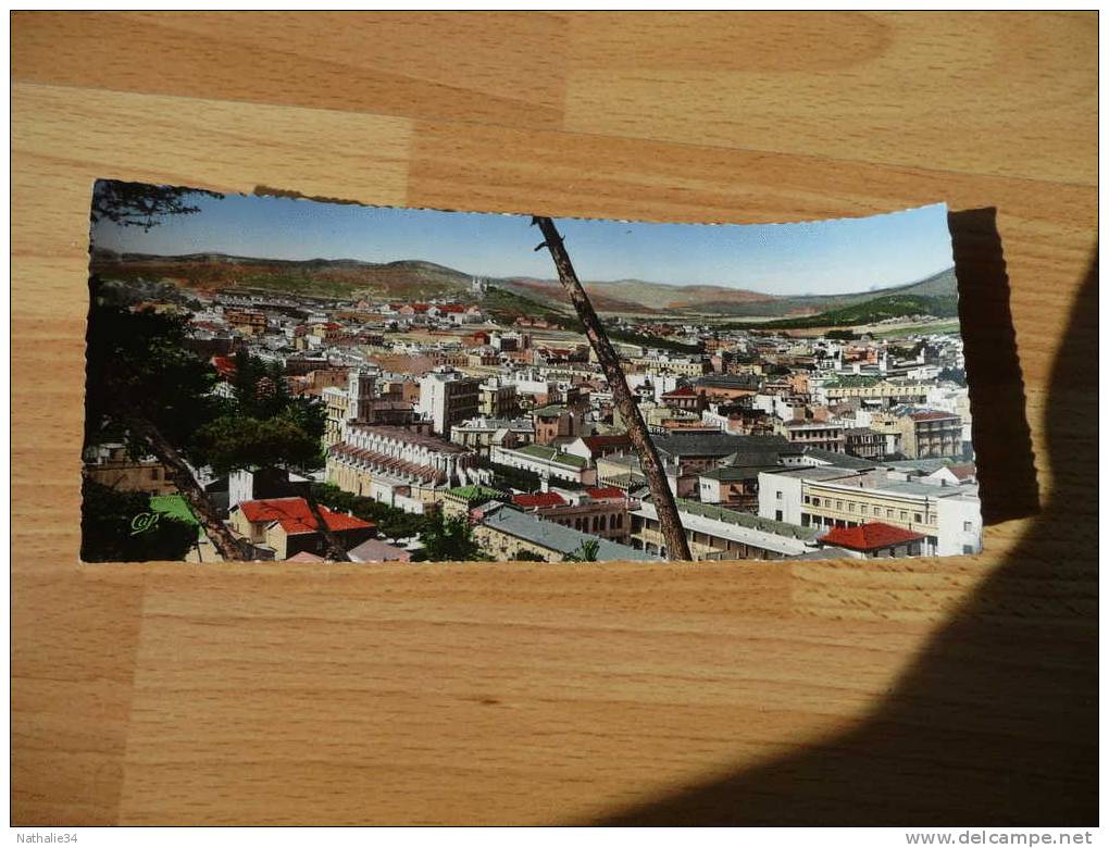 CPM grand format. Bone . vue générale vers Hippone Format 8,7 par 22 cm