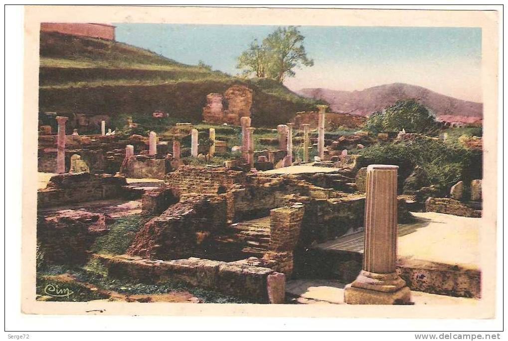 belle cpa BONE (Constantine) . Les Ruines d'Hippone