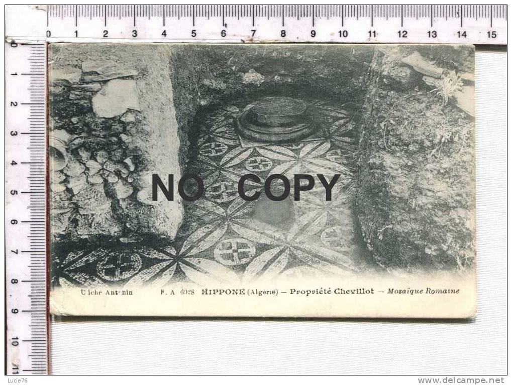 HIPPONE  -  Propriété CHEVILLOT  - Mosaïque Romaine