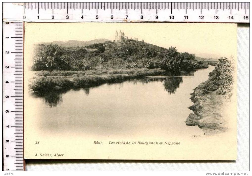 BONE - Les Rives de la Boudjimah et Hippône