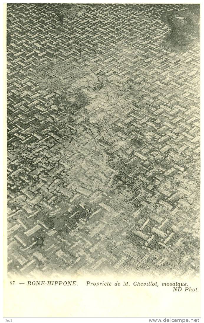 Bone Hippone mosaïque propriété de M. Chevillot Fr813