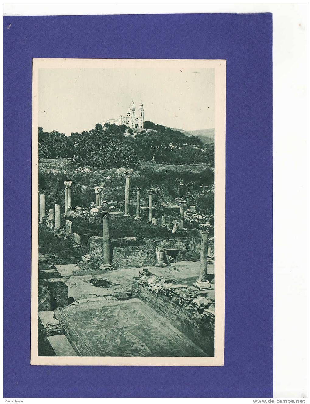 AC338)  HIPPONE  ruines romaines  ( TTB état)