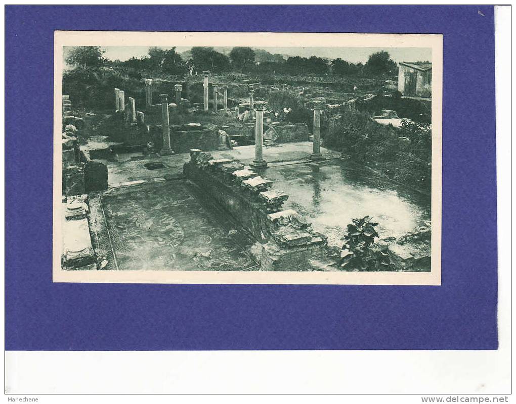 AC336)  HIPPONE  ruines romaines  ( TTB état)