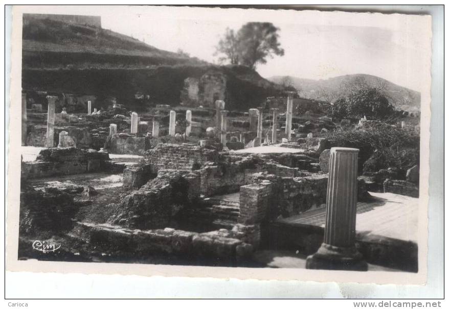 CPSM BONE RUINES D HIPPONE