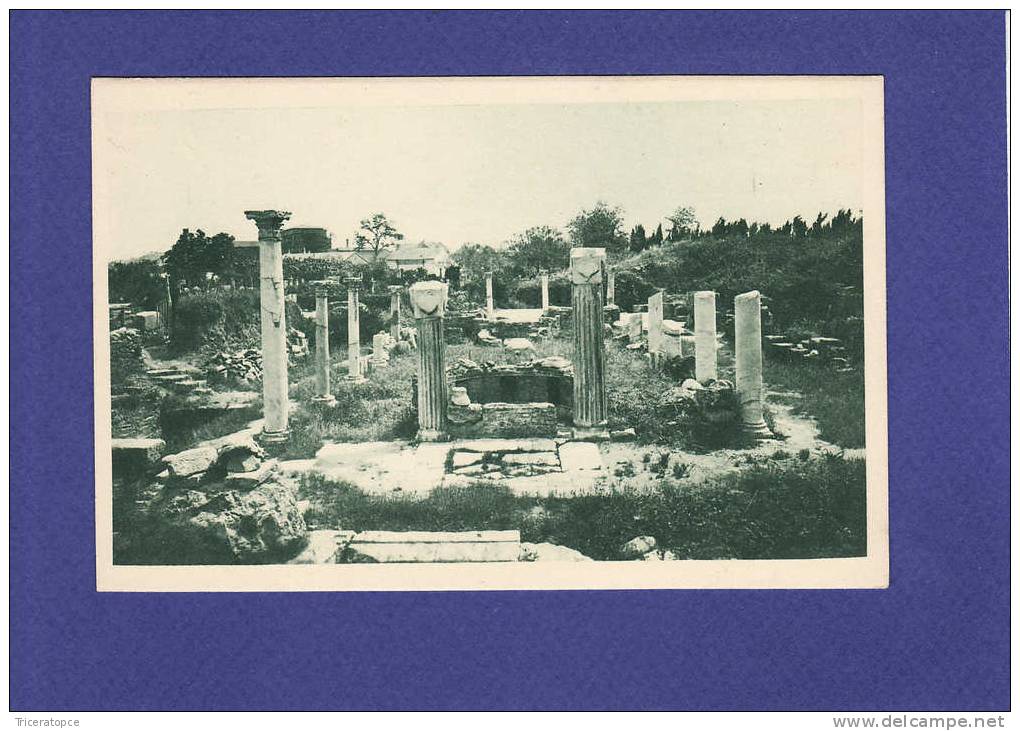 H481)  HIPPONE  cpa du centeaire 1930  ruines romaines  (TTB état)