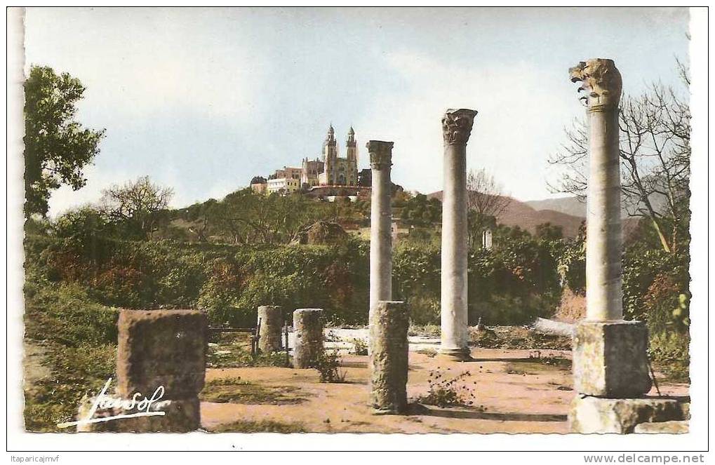 algérie    BONE      ruines d ' hippone  1959