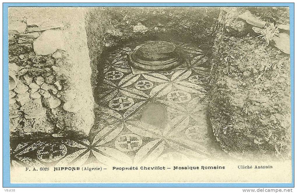 CARTE POSTALE F A 6028 HIPPONE ALGERIE PROPRIETE CHEVILLOT MASAIQUE ROMAINE . CLICHE ANTONIN