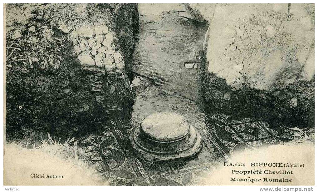 Hippone  Propriete Chevillot ( Mosaique Romaine )