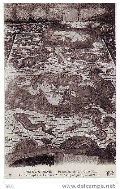 Algérie - Z667 - Bone  -  Hippone - Le Triomphe d'Amphitrite (Mosaïque Punique Antique) - bon état