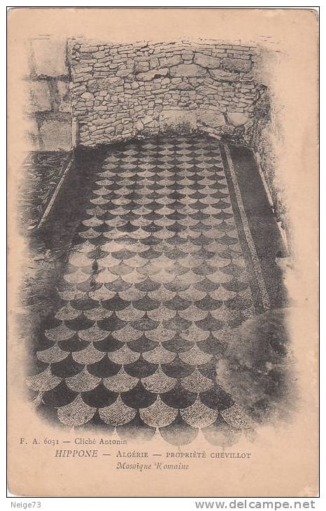 cpa de Hippone -  propriété Chevillot -  Mosaïque romaine