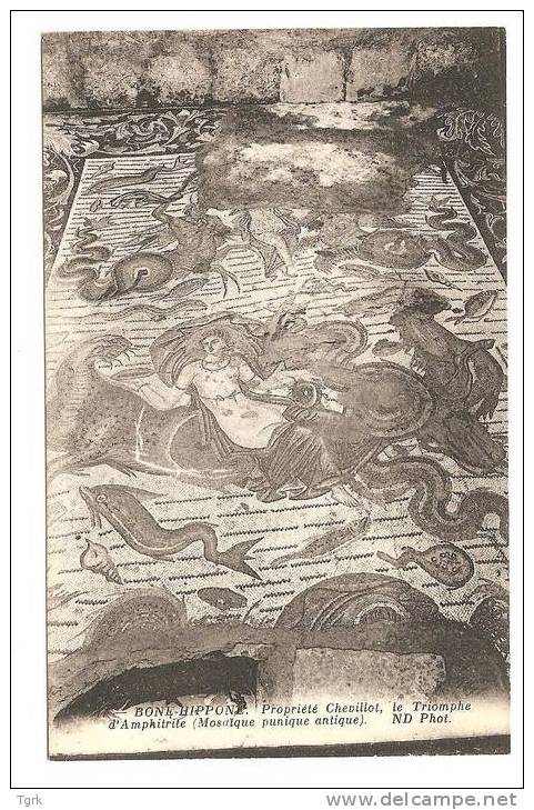 BONE HIPPONE       mosaïque le triomphe d´Amphitrite  propriété de M.CHEVILLOT     bône (mosaique punique antique )