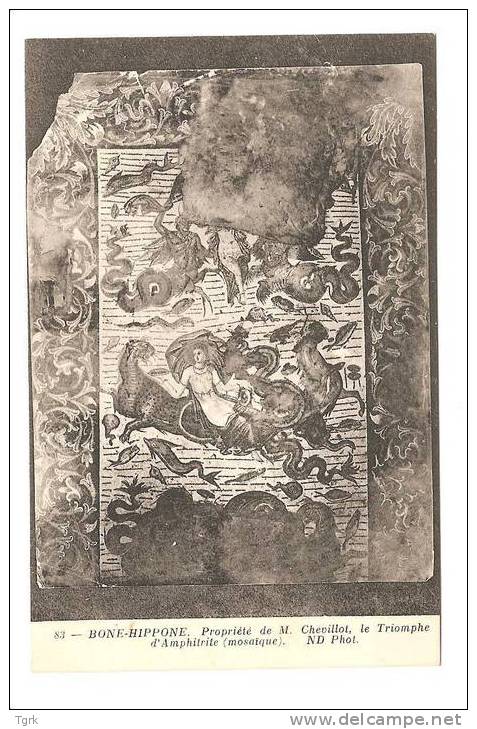 BONE HIPPONE       mosaïque le triomphe d'Amphitrite  propriété de M.CHEVILLOT     bône
